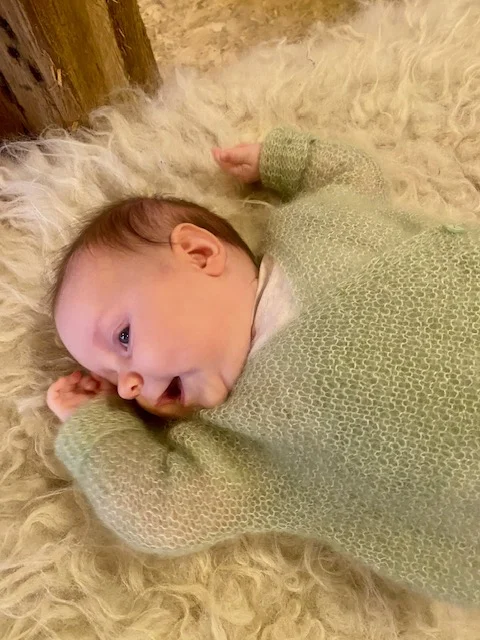 Wollen vestje groen - Groen1 - wol/vest/groen